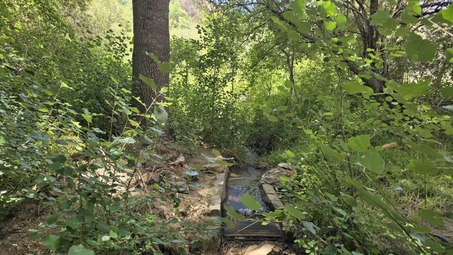 Commercial Property for Sale in Wellington Rural Western Cape